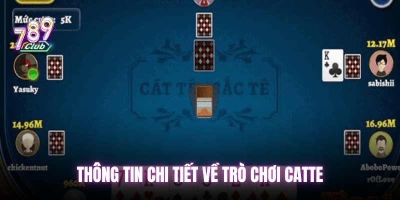 CATTE-ONLINE
