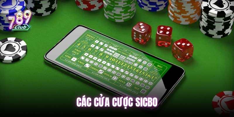 Các loại cược trong game chơi tài xỉu