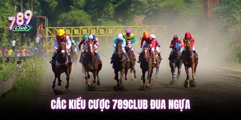 Các cược phổ biến trong đua ngựa 789club