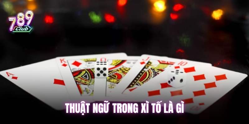 Thuật ngữ trong xì tố là gì? 