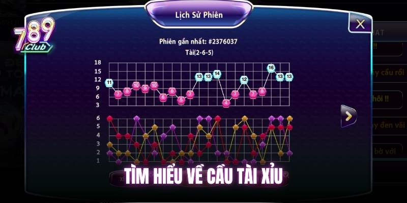 tim-hieu-ve-cau-tai-xiu