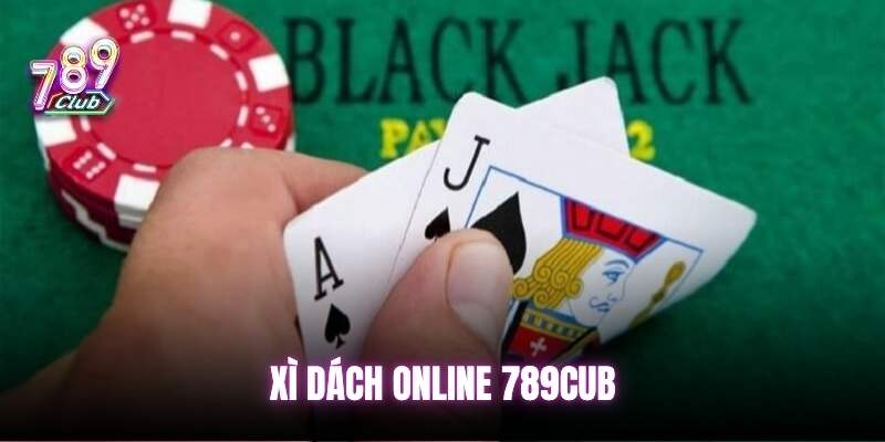 xi-dach-online