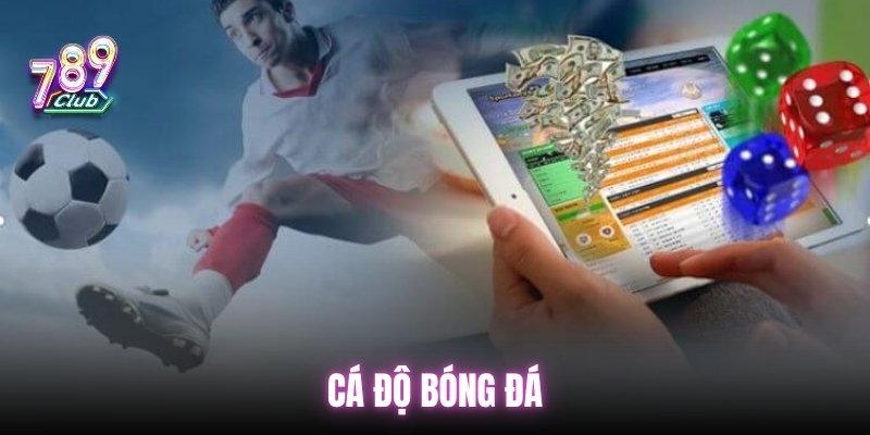 ca-do-bong-da-truc-tuyen