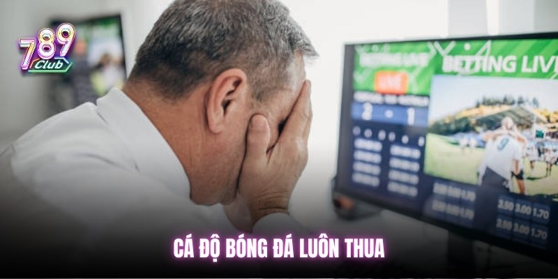 ca-do-bong-da-luon-thua