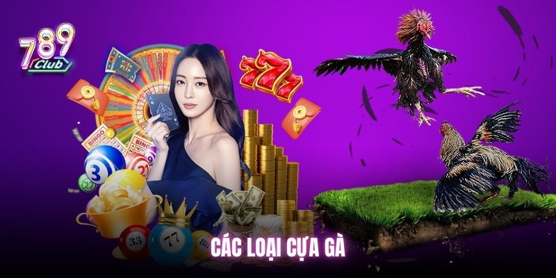 cac-loai-cua-ga