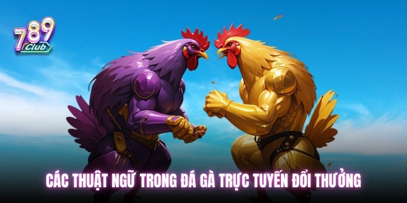 Các thuật ngữ trong đá gà trực tuyến đổi thưởng