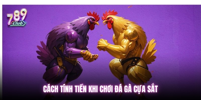 Cách tính tiền khi chơi đá gà cựa sắt