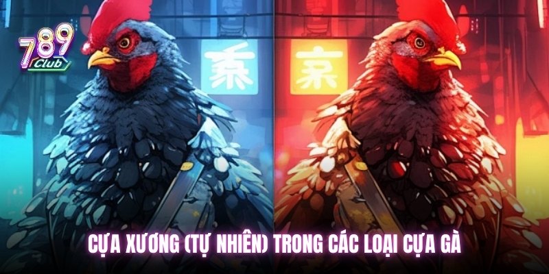 Cựa xương (tự nhiên) trong các loại cựa gà