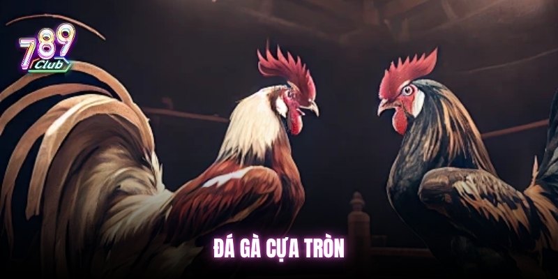 da-ga-cua-tron