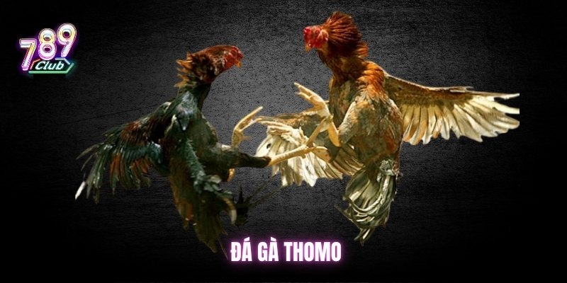 da-ga-thomo