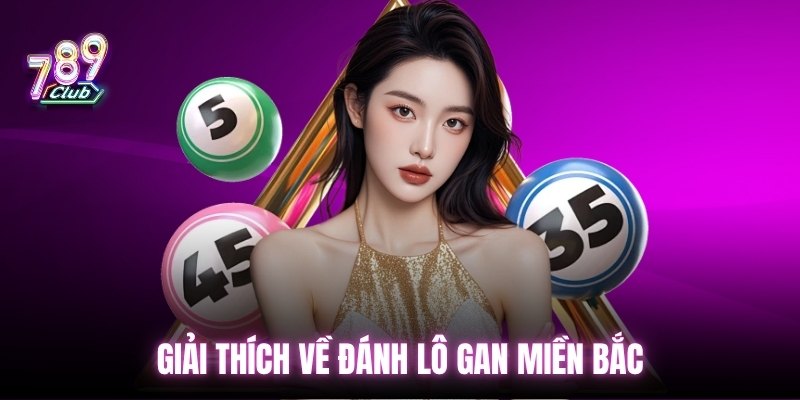 Giải thích về đánh lô gan miền bắc