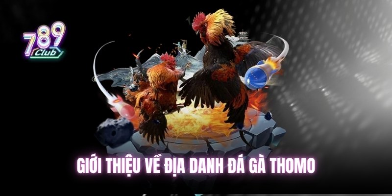Giới thiệu về địa danh đá gà Thomo