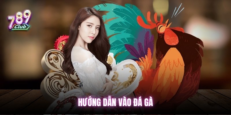 huong-dan-vao-da-ga