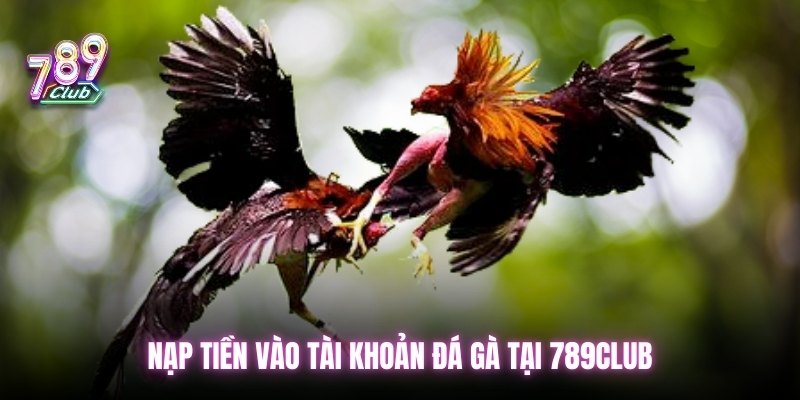 Nạp tiền vào tài khoản đá gà tại 789club