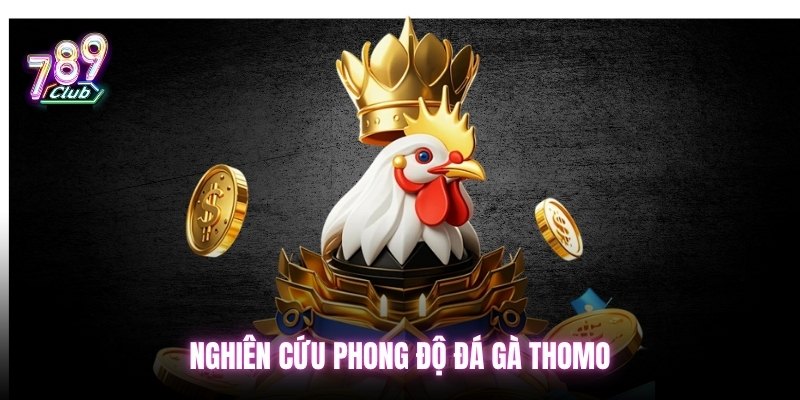 Nghiên cứu phong độ đá gà thomo