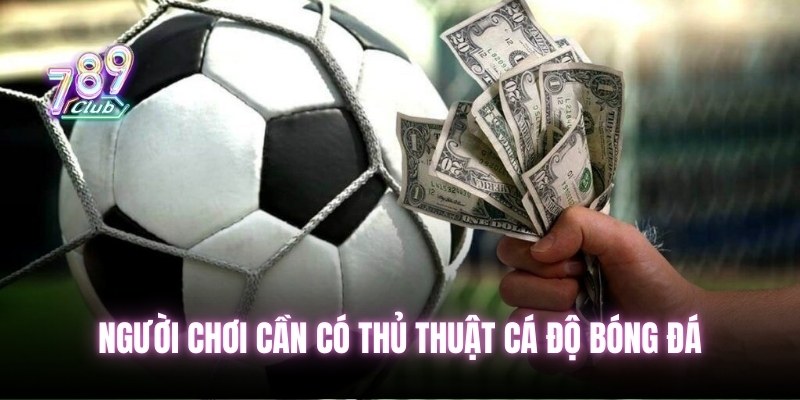 Người chơi cần có thủ thuật cá độ bóng đá