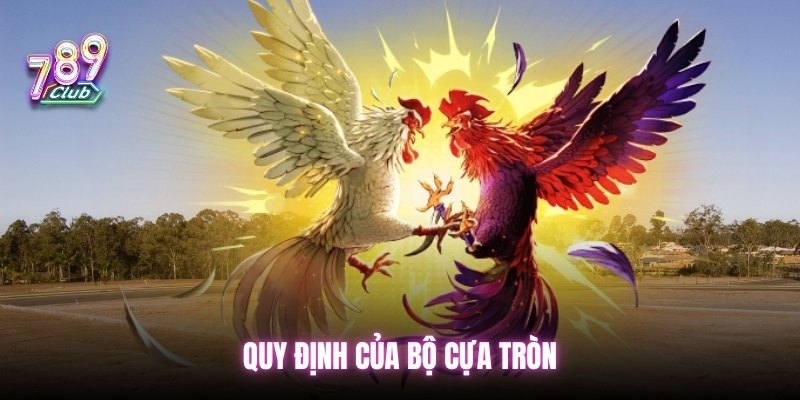 Quy định của bộ cựa tròn