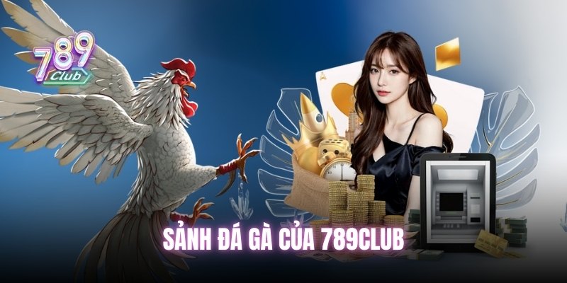 Sảnh đá gà của 789Club